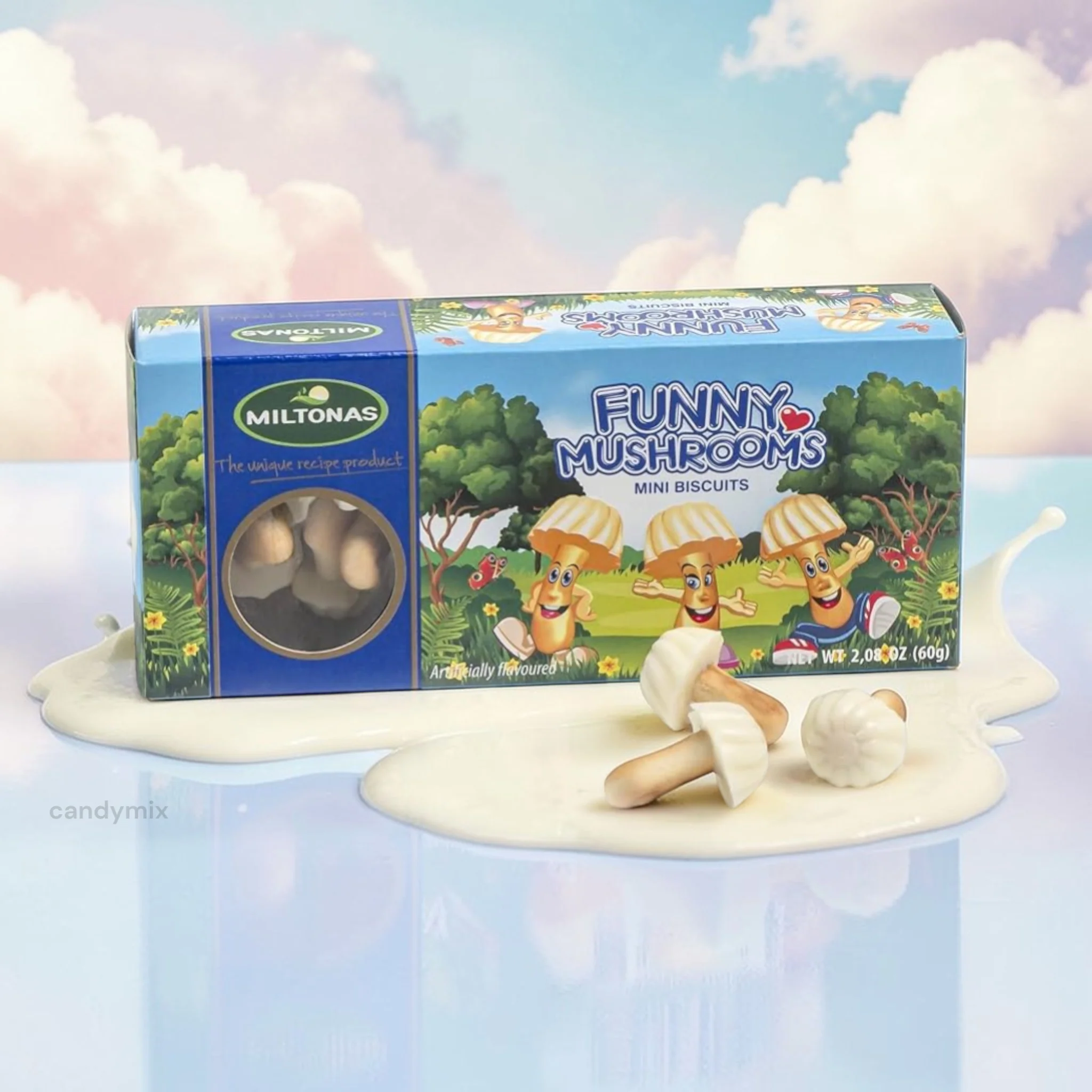 Champignons Chocolat Blanc Lozano (boite)