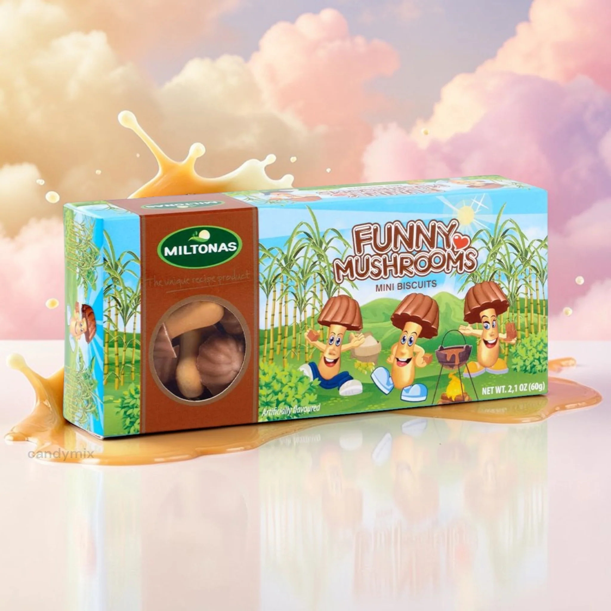 Champignons Chocolat Caramel Lozano (boite)