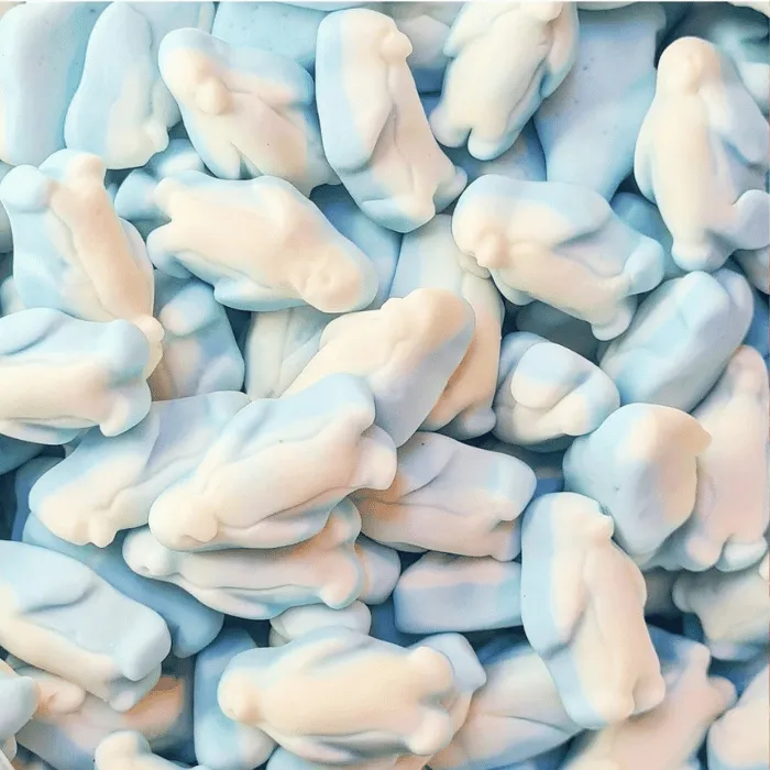 🍬 Foam Pingouins - Kingsway