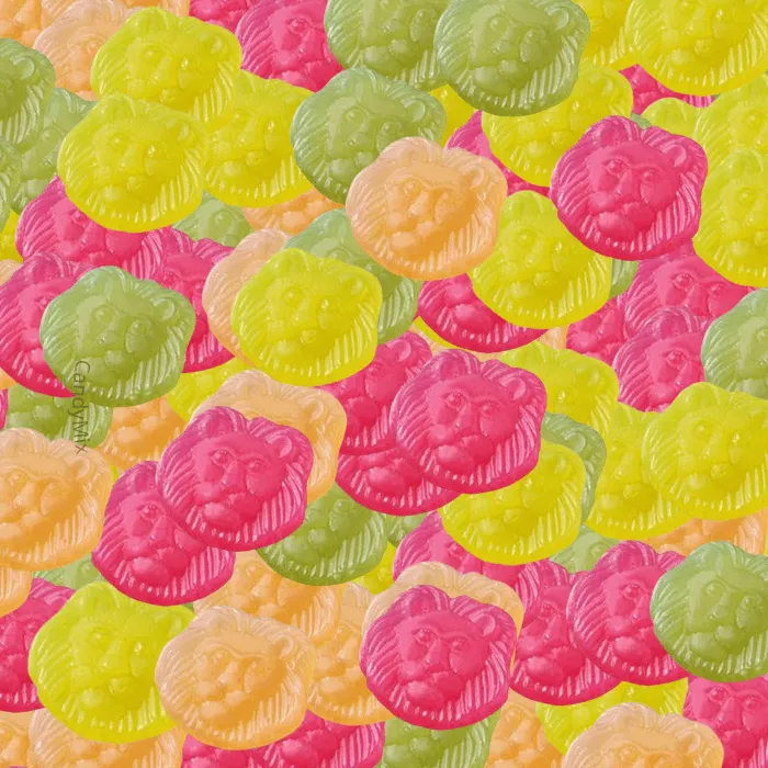 🍬 Lion (100g) - Frisia