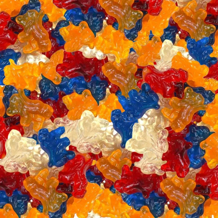 🍬 Lions Hollandais - Matthijs (100g)