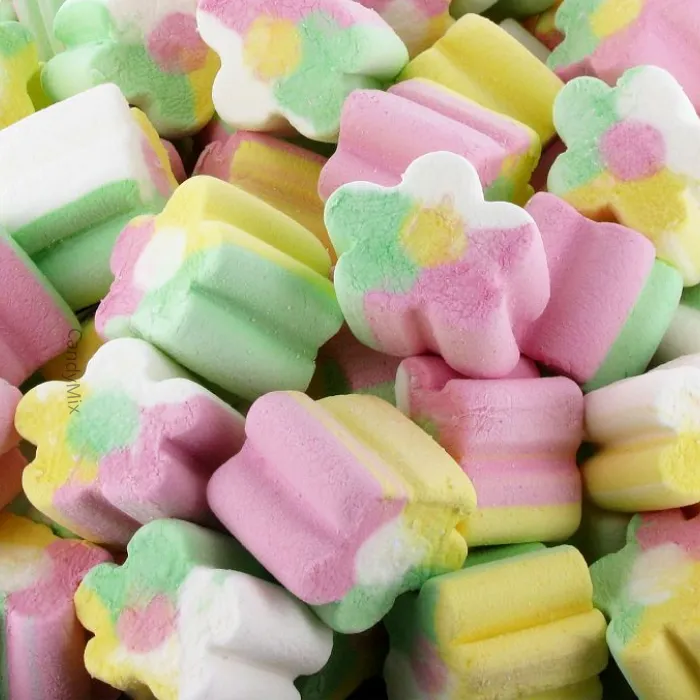 ☁ Marshmallows Fleurs - 50g - FiniTronc