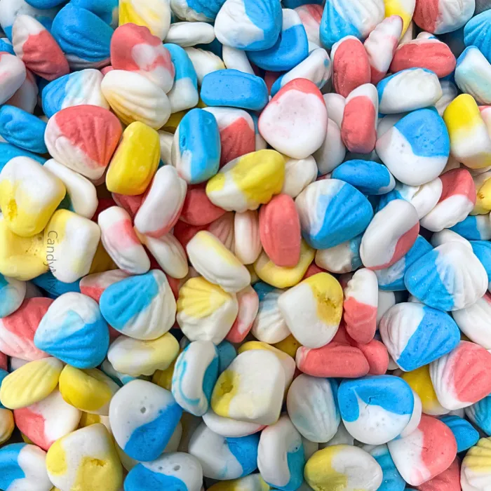 🌙🍬 Mini Foam Palourde - Dulceplus