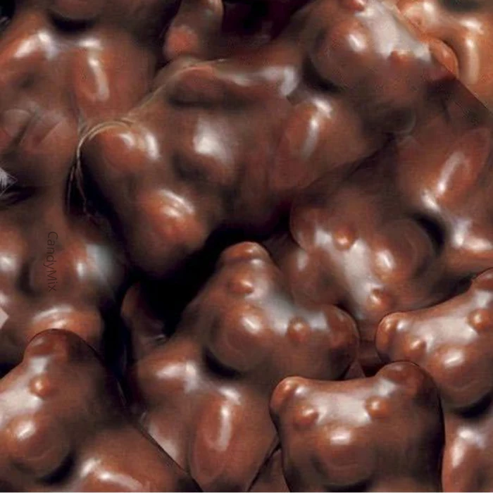 🍫 Koala Guimauve Enrobés de Chocolat Noir - Lutti (100g) 🌿